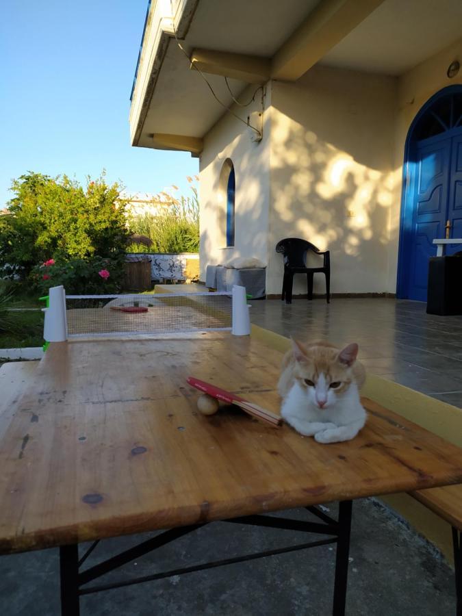 Pinegroove Hostel Vlora Esterno foto