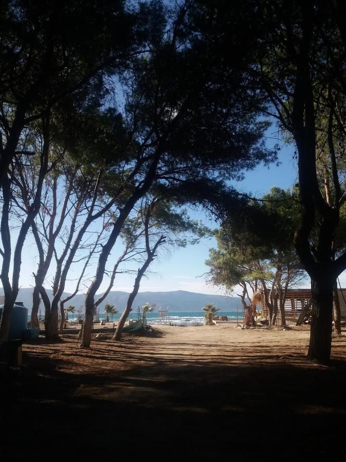 Pinegroove Hostel Vlora Esterno foto